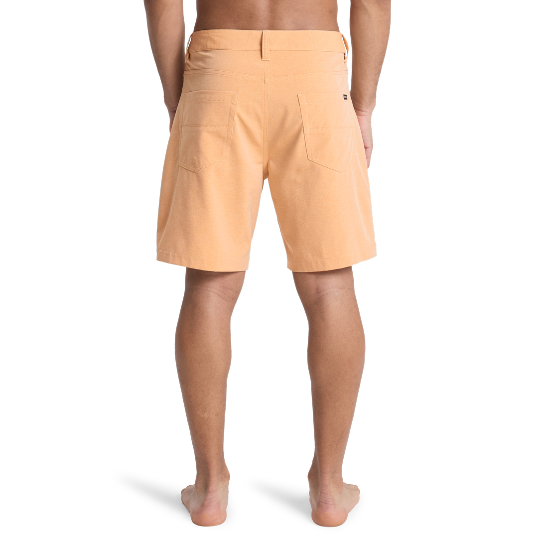 QUIKSILVERNelson Amphibian 18 Boardshorts/ Swim Shorts
