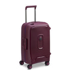 DelseyMoncey Mr Carry-On