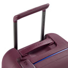 DelseyMoncey Mr Carry-On