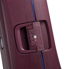 DelseyMoncey Mr Carry-On