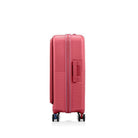 AMERICAN TOURISTERCubecraft Medium