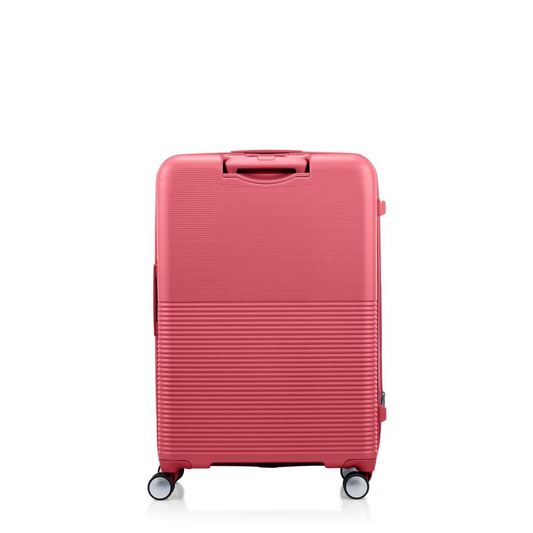 AMERICAN TOURISTERCubecraft Large
