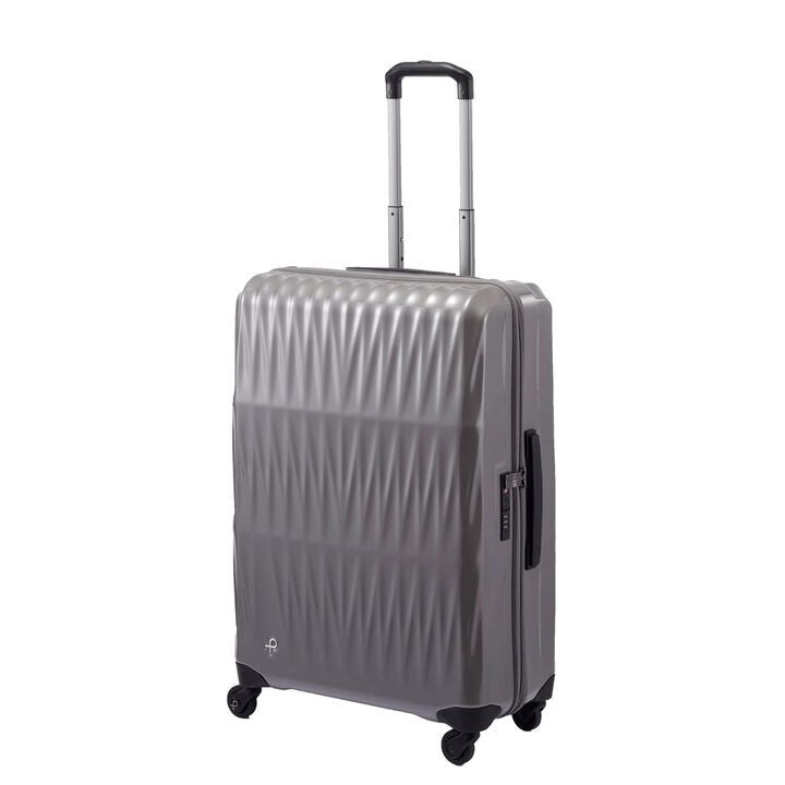 Triaxis Titanium Silver Medium Luggage